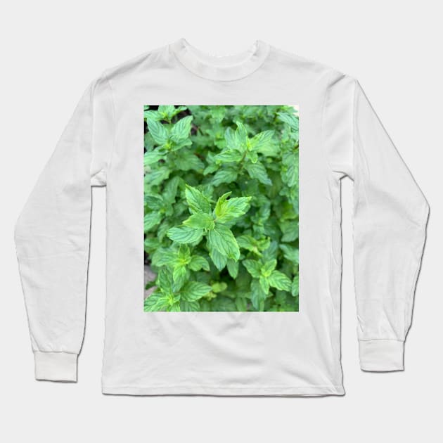 Mint Long Sleeve T-Shirt by baksuart